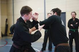 Image result for M-S-N Ninjutsu (Bujinkan) Club