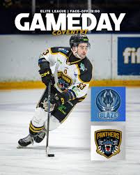 Image result for Nottingham Panthers