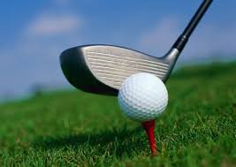 Image result for Immingham Golf Club