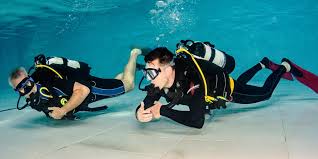 Image result for Dive Solutions, London