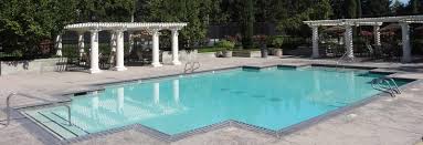 Image result for Stockton Swimming Club