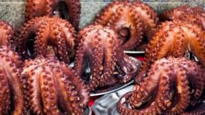 Image result for octopus in a basque