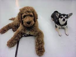 Image result for 生理現象ラキ