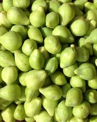 Attēlu rezultāti vaicājumam “Anisantha tectorum fruit”