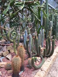 Image result for Arboretum Trompenburg