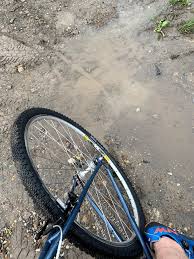 Image result for Fenland Flyers