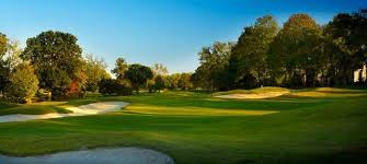 Image result for Brentwood Scrabble Club