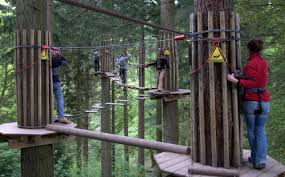 Image result for Go Ape! Whinlatter