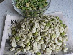 Image result for Dicke Bohnen