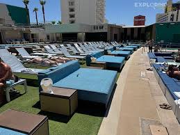 Image result for Mid Beds Swim Squad