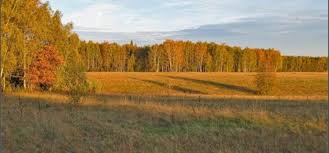 Image result for Приметы