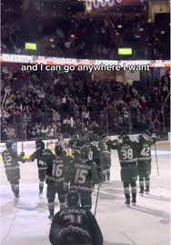 Image result for Streatham Chiefs Ice Hockey Club