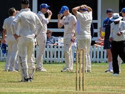 Image result for Upminster Cricket Club