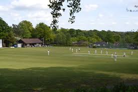 Image result for Bidborough Cc