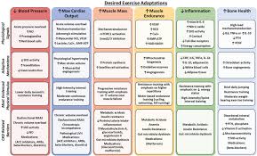 Image result for Peak Performance Ckd, Horley
