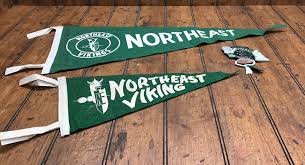 Image result for North East Vikings