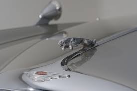 Image result for Silver Gray 1970 Jaguar