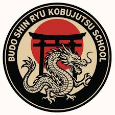 Image result for Budo Shin Ryu Kempo Jujitsu Academy