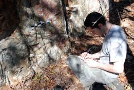 Image result for SEM micrographs of Novaculite Arkansas