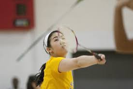 Image result for Link Ladies Badminton Club