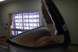 Image result for Balaenoptera bonaerensis