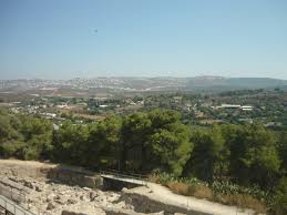 Image result for seppi tehron