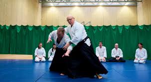 Image result for Durham City Aikikai