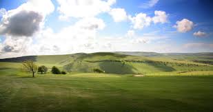 Image result for Lewes Golf Club
