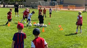 Image result for Shalford F C