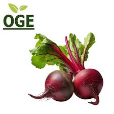 Image result for rote Bete