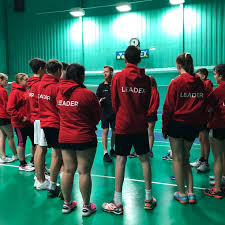 Image result for The Badminton Academy (Mk) Badminton Club