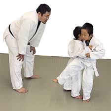 Image result for Horndean Zen Judo Club