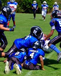 Image result for Manor Colts Youth Football Club