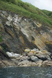 Image result for Tri-Cornwall