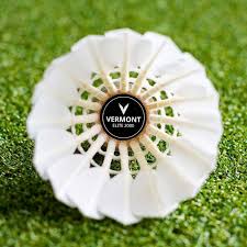 Image result for Shuttles Badminton Club (Frome)