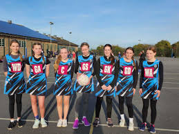Image result for Elvington Ladies Netball Club