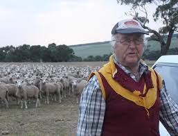 Image result for Herdings Park Football Club