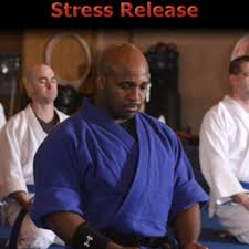 Image result for Everitt Karate Academy