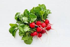 Image result for Radieschen