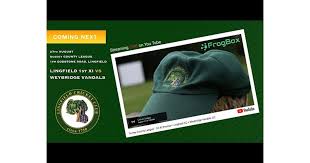 Image result for Lingfield Cricket Club