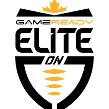 Image result for Elite Football Surrey