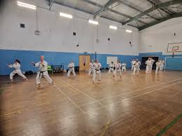 Image result for Plymouth Karate Club Kyokai