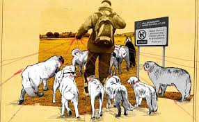 Image result for Herdings Park Football Club