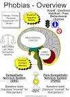 Phobias and fears: Issues that can be addressed with hypnotherapy ...
