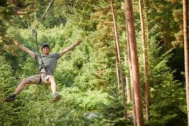 Image result for The Go Ape Experience (Swinley Forest)