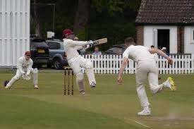 Image result for Sparsholt Cricket Club