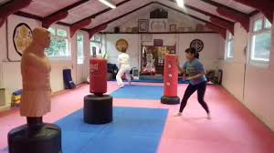 Image result for Exeter Taido Club