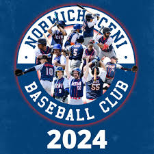 Image result for Norwich Iceni Baseball Club