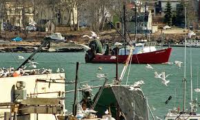 Image result for North Gloucester