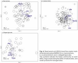 Attēlu rezultāti vaicājumam “Fellhanera subtilis”